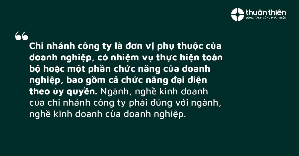 Chi nh&aacute;nh hoạt động dưới sự chỉ đạo v&agrave; gi&aacute;m s&aacute;t của c&ocirc;ng ty mẹ, thực hiện c&aacute;c hoạt động kinh doanh theo định hướng chung của c&ocirc;ng ty mẹ.